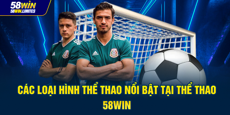 Các Loại Hình Thể Thao Nổi Bật Tại Thể Thao 58Win