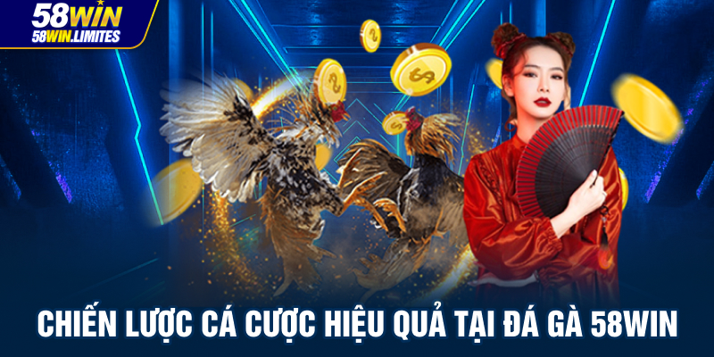 Chiến lược cá cược hiệu quả tại đá gà 58win