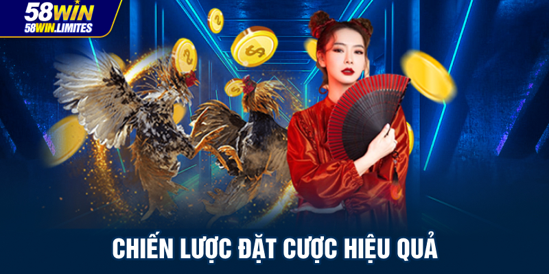 Chiến Lược Đặt Cược Đá Gà Cựa Dao Hiệu Quả