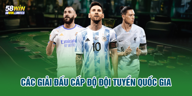 Các giải đấu cấp độ đội tuyển quốc gia